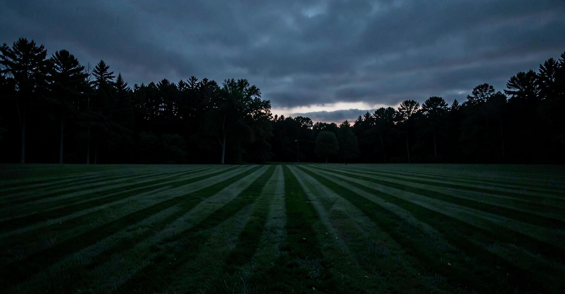 Freshly mowed lawn with mowing stripes at dusk